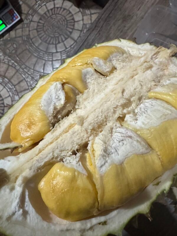 菲律宾黄金普雅榴莲-manila58.com