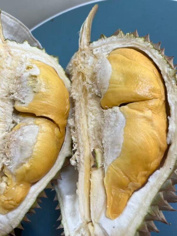 菲律宾黄金普雅榴莲-manila58.com