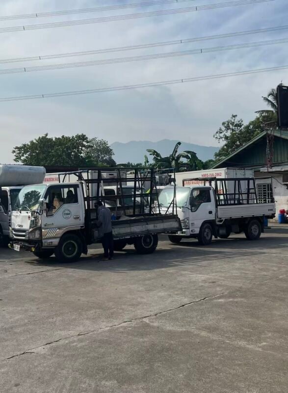 谁有这种小卡车要出售的微信联系320639685-manila58.com